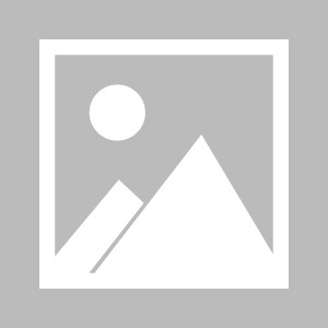 注册入口-巴西乙比赛前瞻：瑞模贝雷vs博塔弗戈SP预测分析(2025年08月17日)